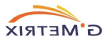 gmetrix logo